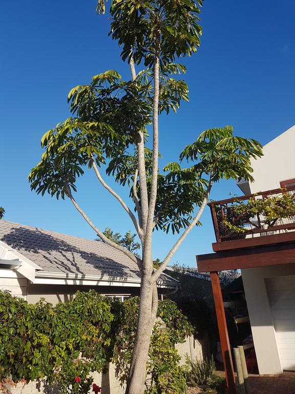 Founders Keepers - Leisure Isle Apartamento Knysna Exterior foto